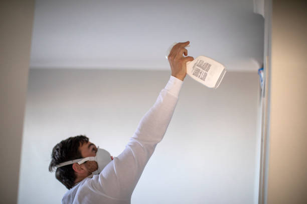 Best Attic Mold Removal  in Derma, MS