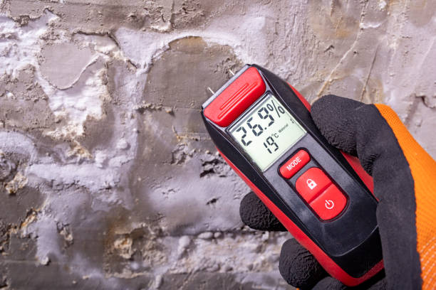 Best Mold Cleaning Services  in Derma, MS