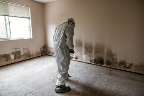 Derma, MS Mold Removal Company